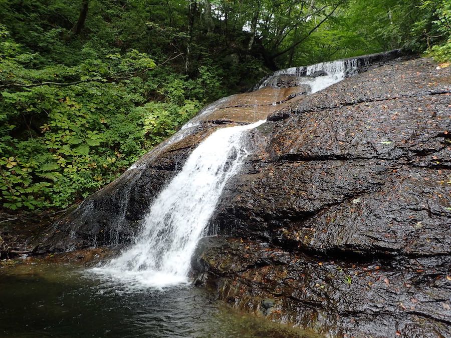 ハダカゾウキ沢との出合は両沢滝で出合っている。これは樋ノ沢の滝。右側を登る